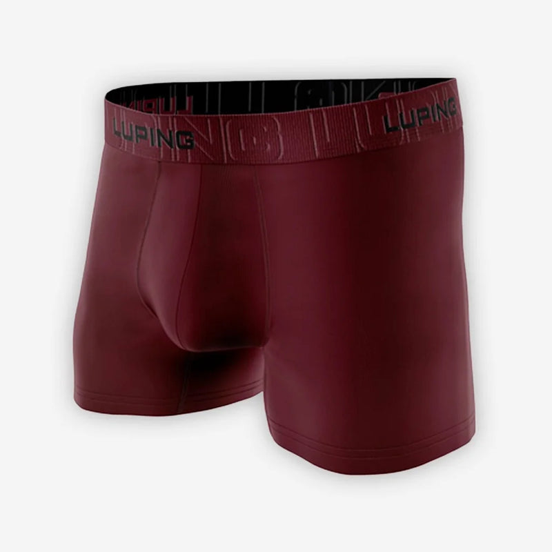 Kit 5 Cuecas Boxer Adulto Masculina Lisa Cueca Tecido Premium Alto Relevo